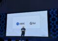 Хакеры украли у Cetus Protocol $223 млн благодаря найденному багу