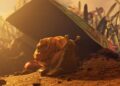 В Grounded 2 появится специальный режим для арахнофобов