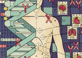 «Добро пожаловать в Nucleus Embryo». В США запустили «редактор» будущего ребёнка — родители могут задать желаемые цвет глаз, волос, рост и пол