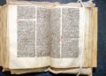 Исследователи раскрыли 130-летнюю литературную загадку, связанную с эльфами, волками и средневековым мемом