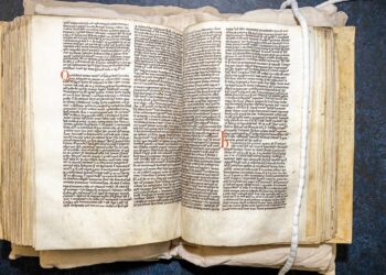 Исследователи раскрыли 130-летнюю литературную загадку, связанную с эльфами, волками и средневековым мемом