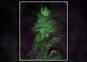 NASA показала космическую рождественскую ёлку из молодых звёзд