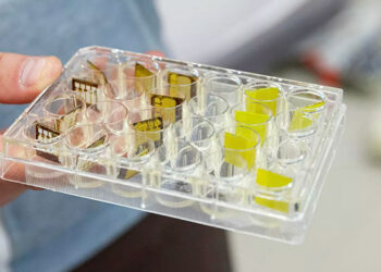 В УрФУ выяснили, как сделать датчики излучений долговечными