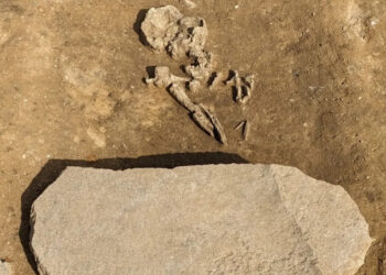 В Германии нашли могилу для зомби возрастом 4200 лет