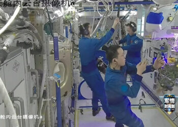 Космические томаты: экипаж «Шэньчжоу-21» собрал первый урожай на орбитальной станции «Тяньгун»