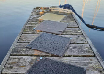 Древесная смола из Финляндии превосходит обычный пластик — и при этом поддается переработке