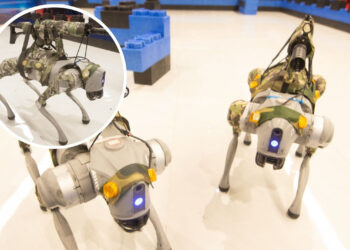 Китайские инженеры обучают боевых робопсов действовать в стае