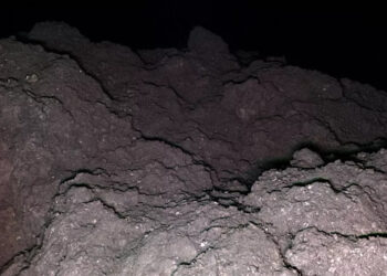 На астероиде Рюгу обнаружены все пять ключевых элементов для зарождения жизни