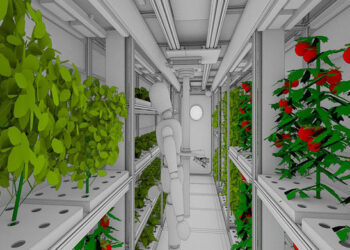 В России работают над овощным климатроном для марсианских миссий
