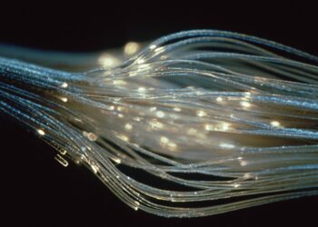 Физик научился искривлять свет гравитацией и создал мобильный сенсор для картографирования недр