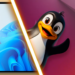 Новые ноутбуки с Linux продаются лучше, чем с Windows, — Framework