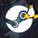 Linux установил исторический рекорд в Steam и обошел macOS благодаря успеху Steam Deck