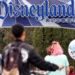 Disney не предупреждала гостей Диснейленда о сканировании лиц — теперь против нее групповой иск
