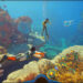 Subnautica 2 показала геймплей за 5 дней до раннего доступа — и это выглядит именно так, как надо