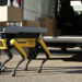Знаменитый робопес Spot от Boston Dynamics готовится стать разносчиком посылок